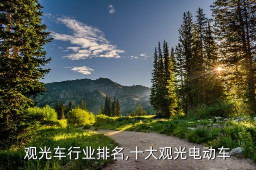 电动观光车行业排名,十大观光电动车