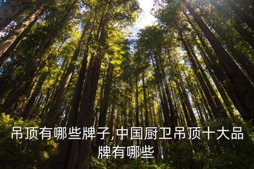厨卫吊顶有哪些牌子,中国厨卫吊顶十大品牌有哪些?