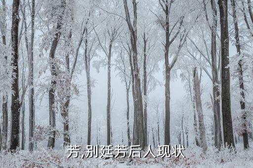 别廷芳,别廷芳后人现状