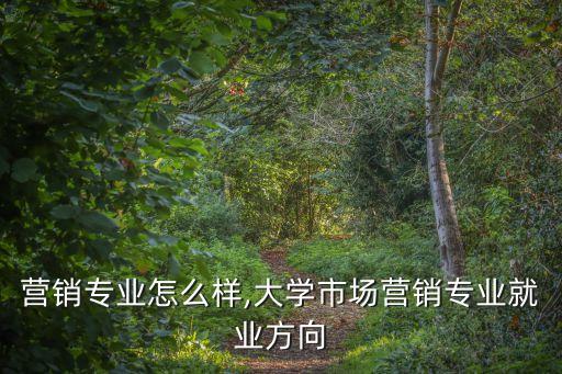 营销专业怎么样,大学市场营销专业就业方向