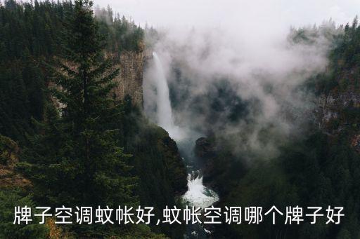 牌子空调蚊帐好,蚊帐空调哪个牌子好