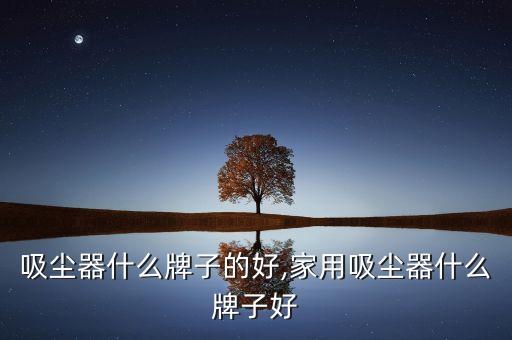 家用吸尘器什么牌子的好,家用吸尘器什么牌子好?