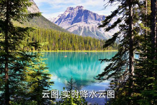 云图,实时降水云图