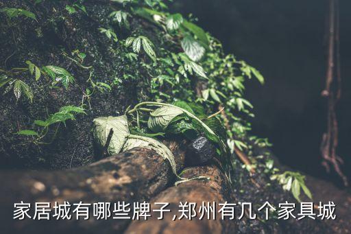 家居城有哪些牌子,郑州有几个家具城