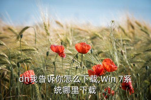 dn我告诉你怎么下载,Win 7系统哪里下载