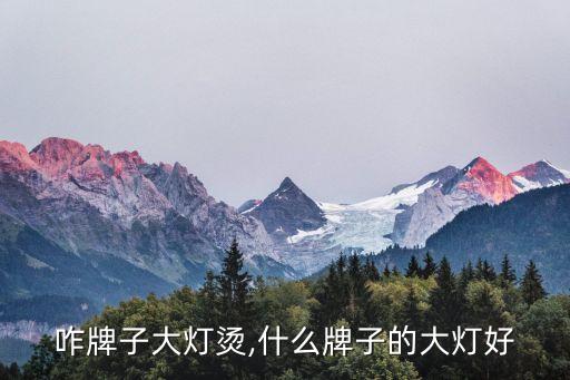 车换咋牌子大灯烫,什么牌子的大灯好?