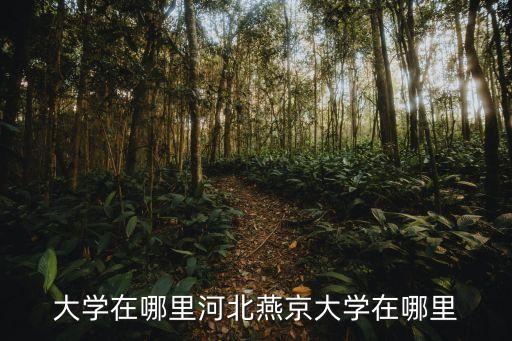 大学在哪里河北燕京大学在哪里