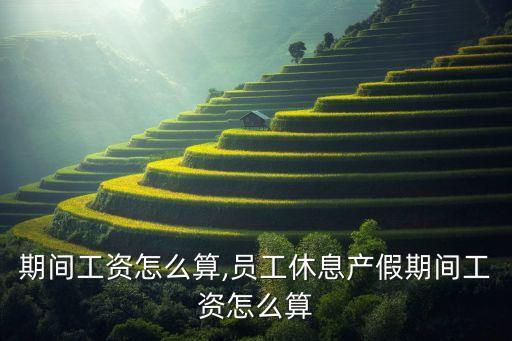 期间工资怎么算,员工休息产假期间工资怎么算