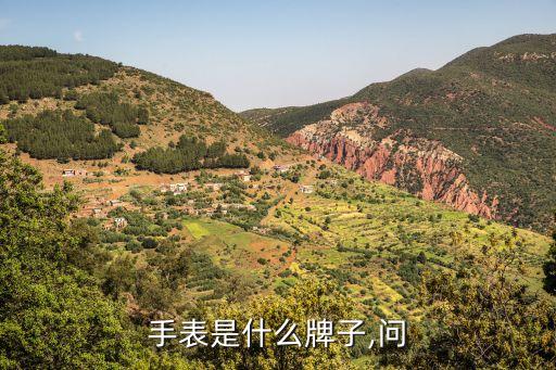 手表是什么牌子,问