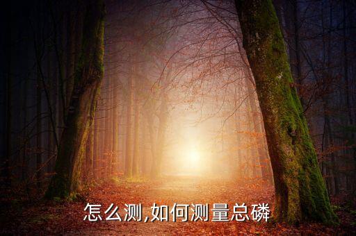 总磷怎么测,如何测量总磷