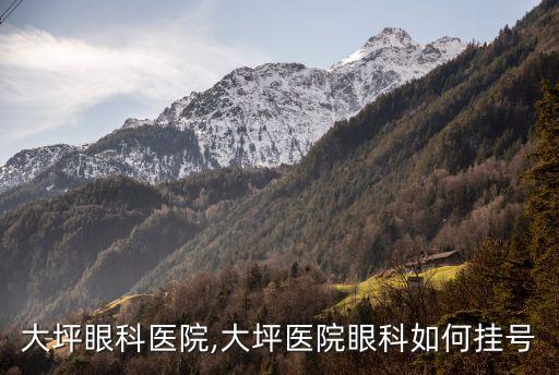 重庆大坪眼科医院,大坪医院眼科如何挂号?