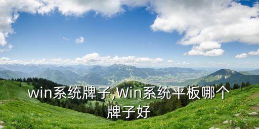 平板win系统牌子,Win系统平板哪个牌子好?