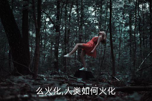 么火化,人类如何火化