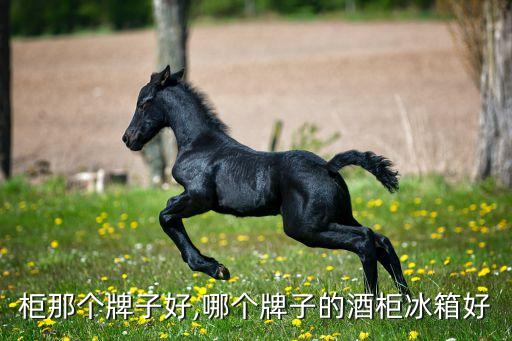 柜那个牌子好,哪个牌子的酒柜冰箱好