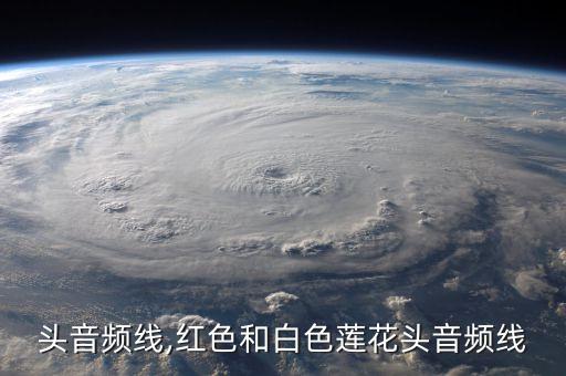莲花头音频线,红色和白色莲花头音频线