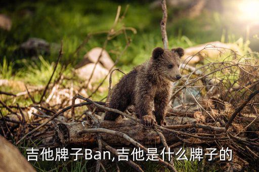 民谣吉他牌子Ban,吉他是什么牌子的?