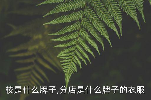 小树枝是什么牌子,分店是什么牌子的衣服?