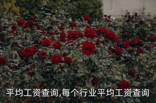 平均工资查询,每个行业平均工资查询