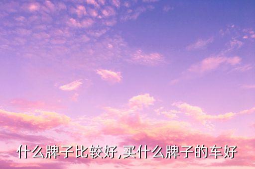什么牌子比较好,买什么牌子的车好