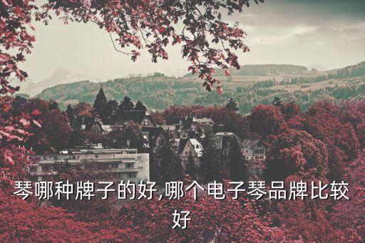 琴哪种牌子的好,哪个电子琴品牌比较好