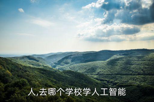 学习人,去哪个学校学人工智能?