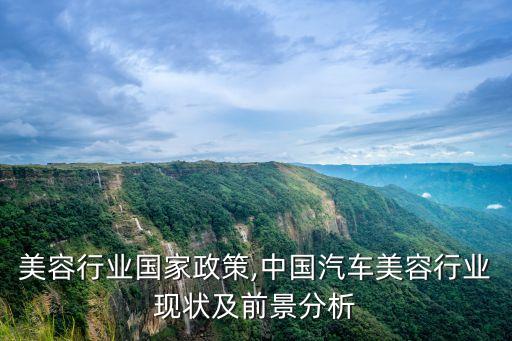 汽车美容行业国家政策,中国汽车美容行业现状及前景分析