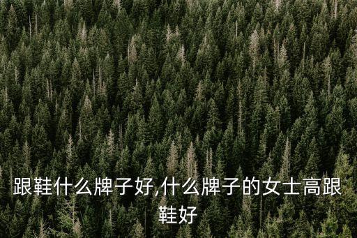 女高跟鞋什么牌子好,什么牌子的女士高跟鞋好?