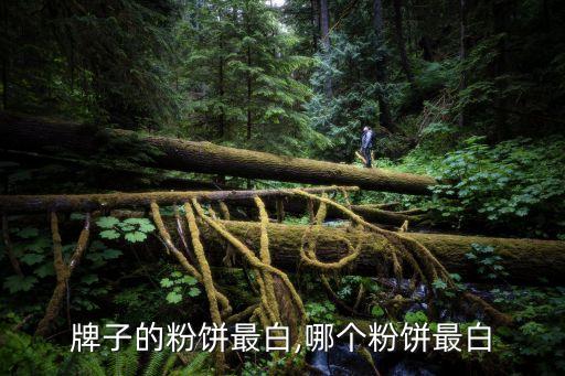哪个牌子的粉饼最白,哪个粉饼最白?