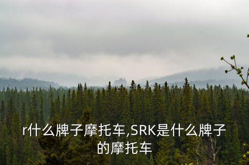 r什么牌子摩托车,SRK是什么牌子的摩托车