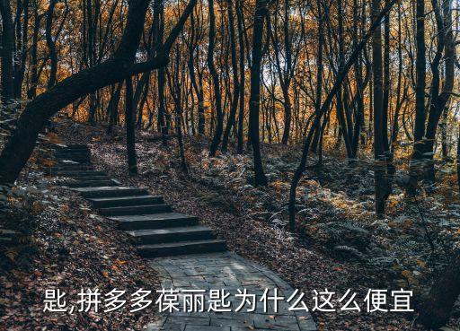 葆丽匙,拼多多葆丽匙为什么这么便宜?