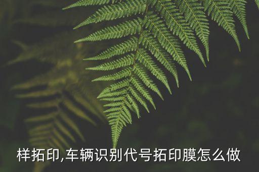 怎么样拓印,车辆识别代号拓印膜怎么做?