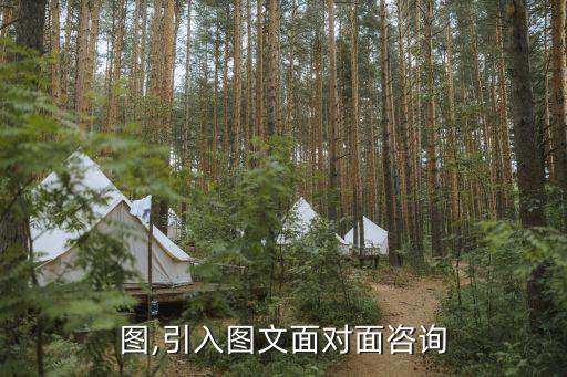 面诊图,引入图文面对面咨询