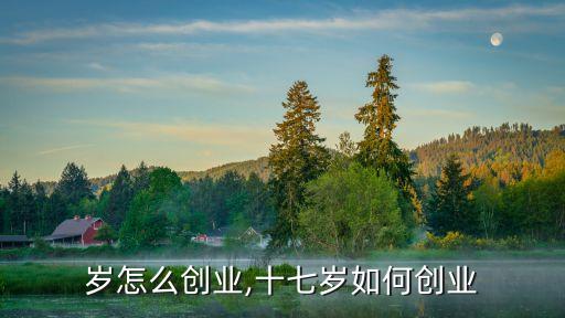 17岁怎么创业,十七岁如何创业