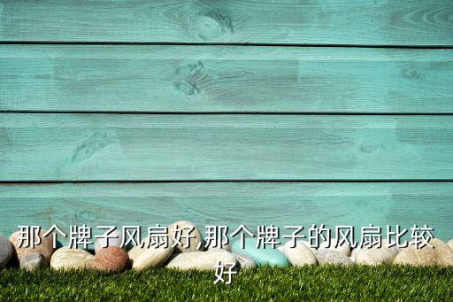 进口那个牌子风扇好,那个牌子的风扇比较好