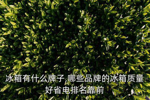 冰箱有什么牌子,哪些品牌的冰箱质量好省电排名靠前