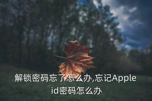 苹果解锁密码忘了怎么办,忘记Apple id密码怎么办?