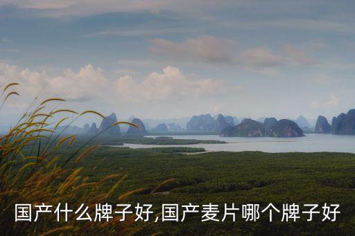 国产什么牌子好,国产麦片哪个牌子好