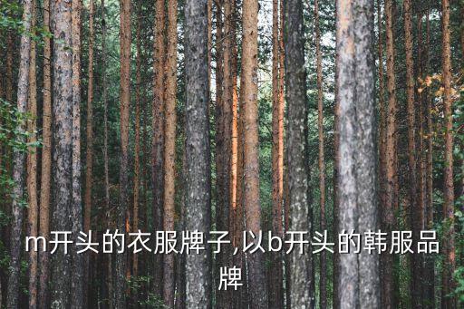 m开头的衣服牌子,以b开头的韩服品牌