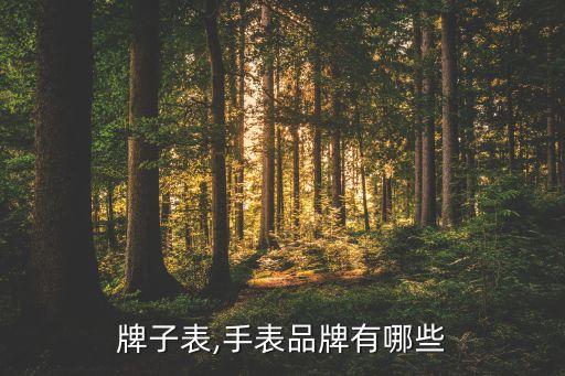 国际牌子表,手表品牌有哪些?