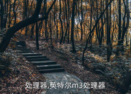 处理器,英特尔m3处理器