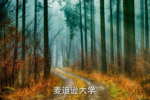 美国麦迪逊大学