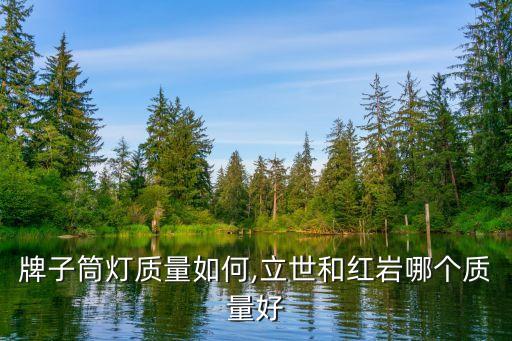 牌子筒灯质量如何,立世和红岩哪个质量好