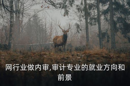 网行业做内审,审计专业的就业方向和前景