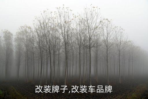 汽车改装牌子,改装车品牌