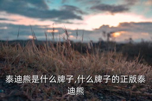 泰迪熊是什么牌子,什么牌子的正版泰迪熊