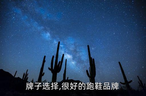 牌子选择,很好的跑鞋品牌