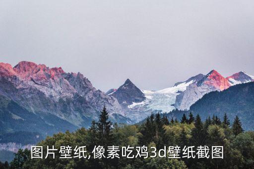 吃鸡图片壁纸,像素吃鸡3d壁纸截图