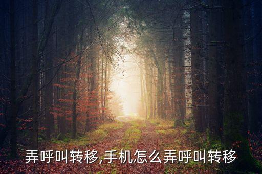 怎么弄呼叫转移,手机怎么弄呼叫转移