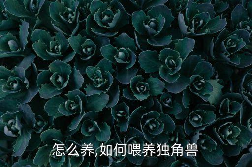 独角怎么养,如何喂养独角兽?