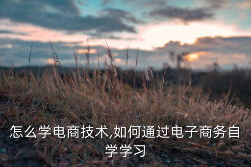 自己怎么学电商技术,如何通过电子商务自学学习
